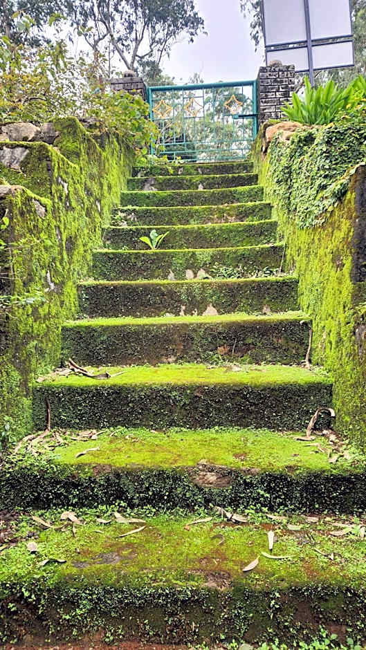 Ibex Resorts, Valparai Mistly