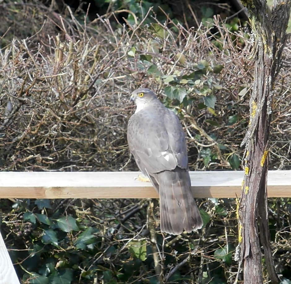 Chambre d'hôtes L'Ermite