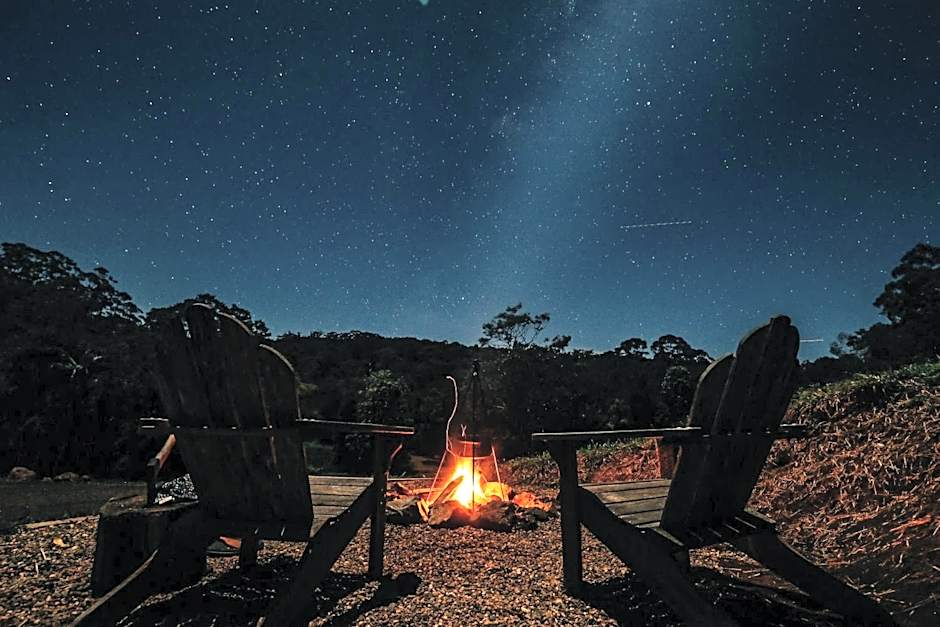 Nightcap Ridge - Byron Bay Hinterland