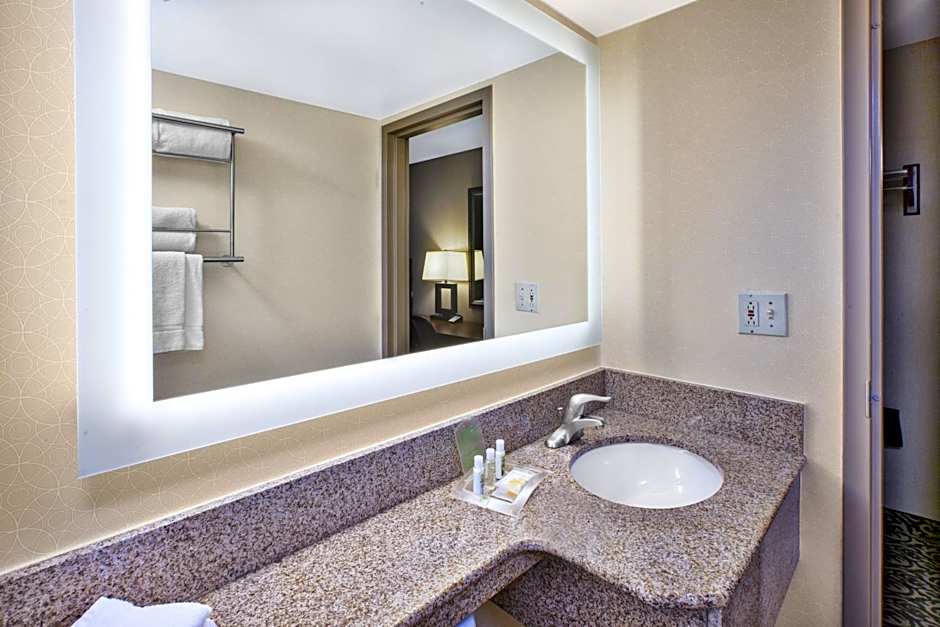 Holiday Inn National Airport/Crystal City By IHG
