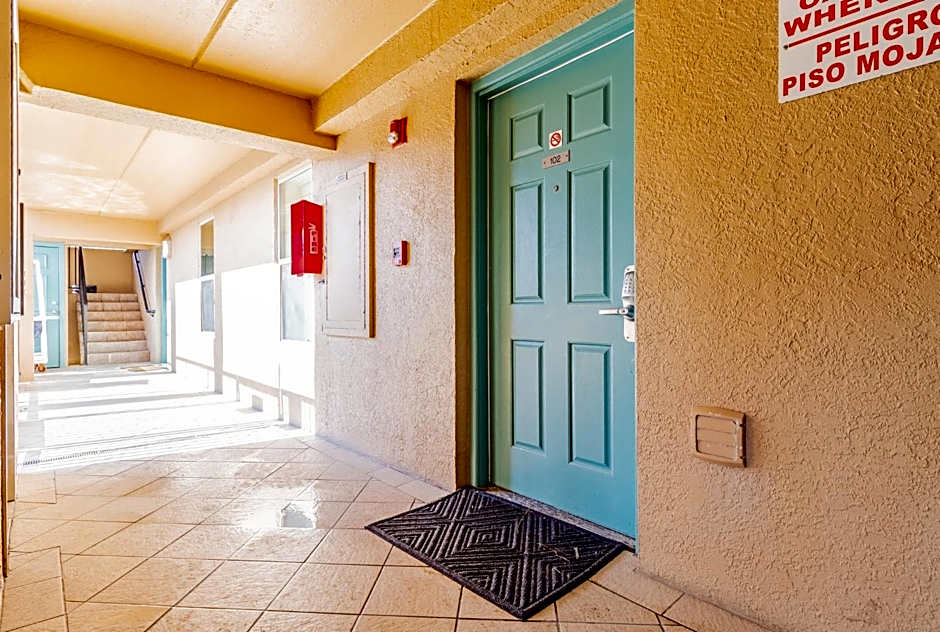 Seagull's Landing By The Ocean