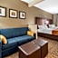 Comfort Suites Auburn near I-69