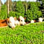 Rolling Hills Country Stay B&B