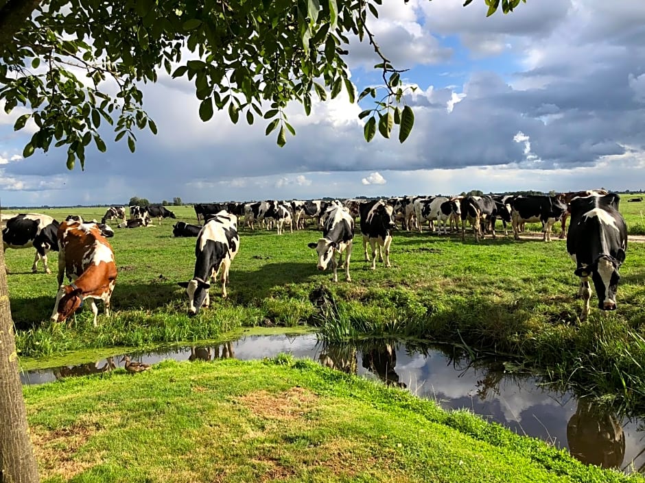 Slapen op het platteland