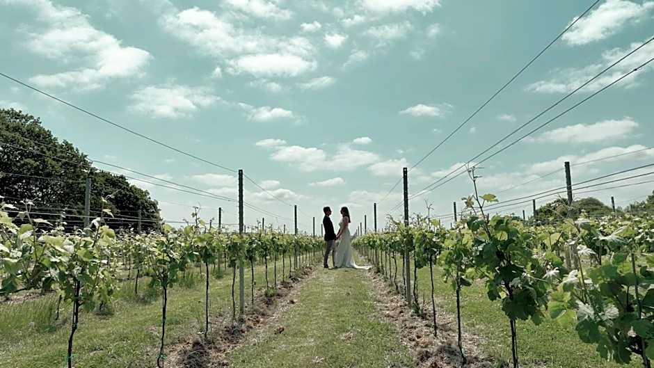 Pinkmead Estate and Vineyard