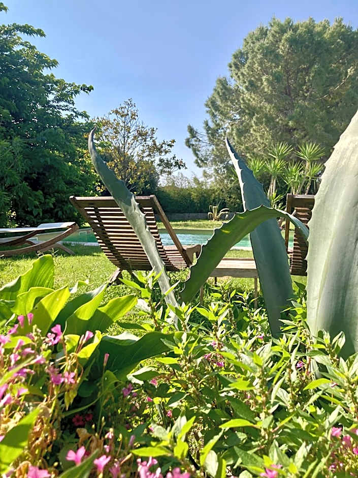 Le Patio, chambres d hôtes pour adultes en Camargue, possibilité de naturisme à la piscine,