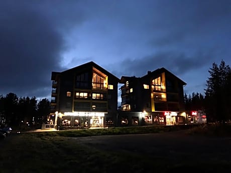 Levin Kunkku B penthouse