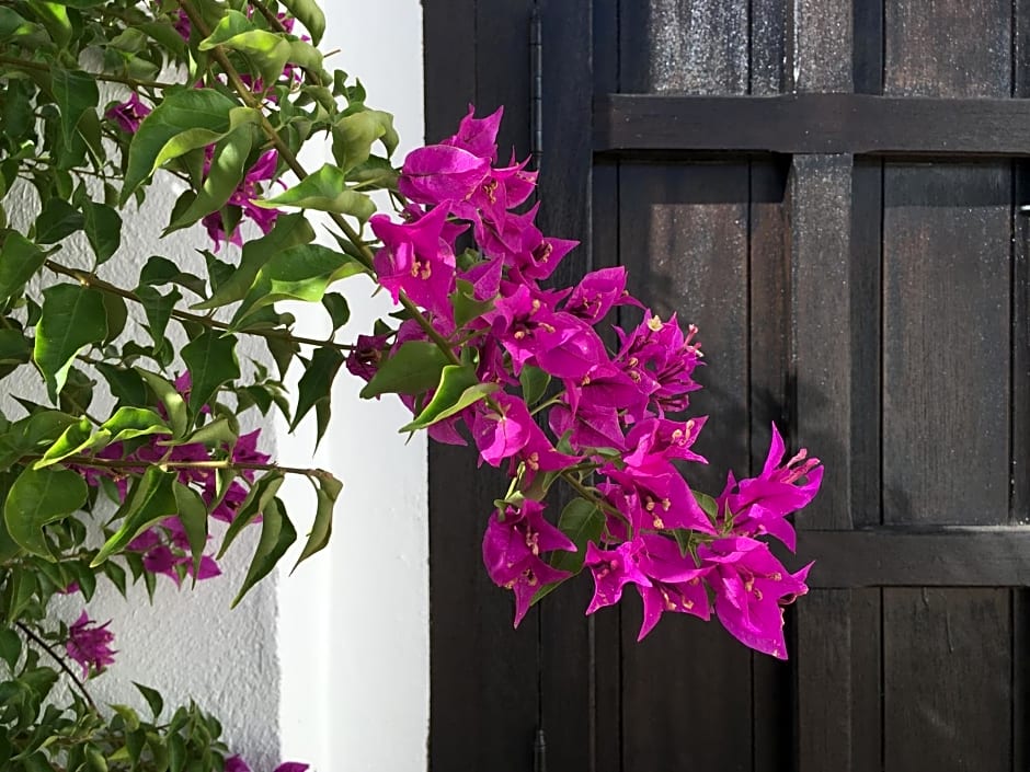 VILLA DE LA LUZ Luxury Guesthouse