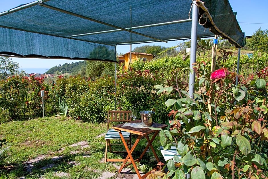 Pietrantica - Affittacamere con giardino NUOVA APERTURA a Trebiano -CITR