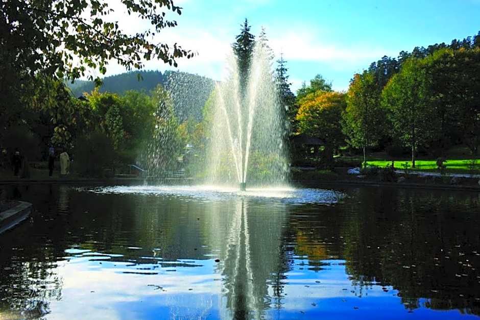 Hotel Schwarzwaldhof