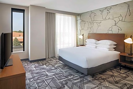 1 King Two Room Suite With Sofabed