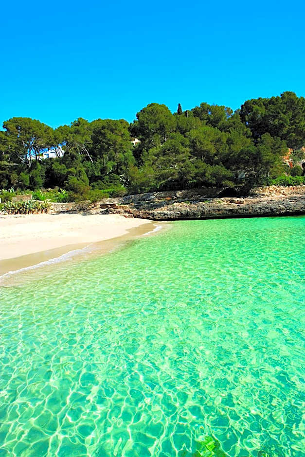 Apartamentos Cala d'Or Playa