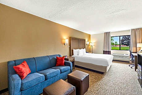 1 King Bed, Nonsmoking