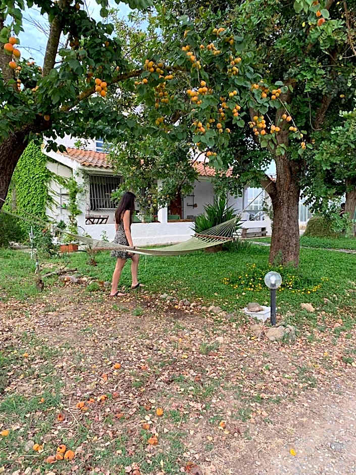 AGRIB&B Il Pomo d'oro