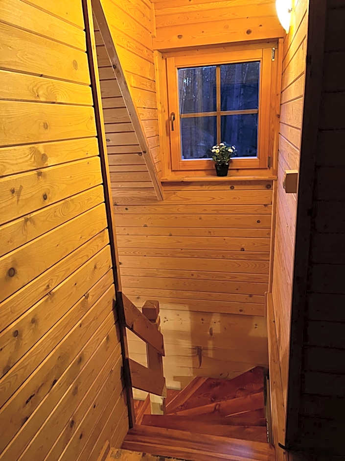 Domek z bali Tryszczyn nad Brdą