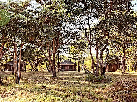 Shindzela Tented Safari Camp and Walking Safaris Accommodation