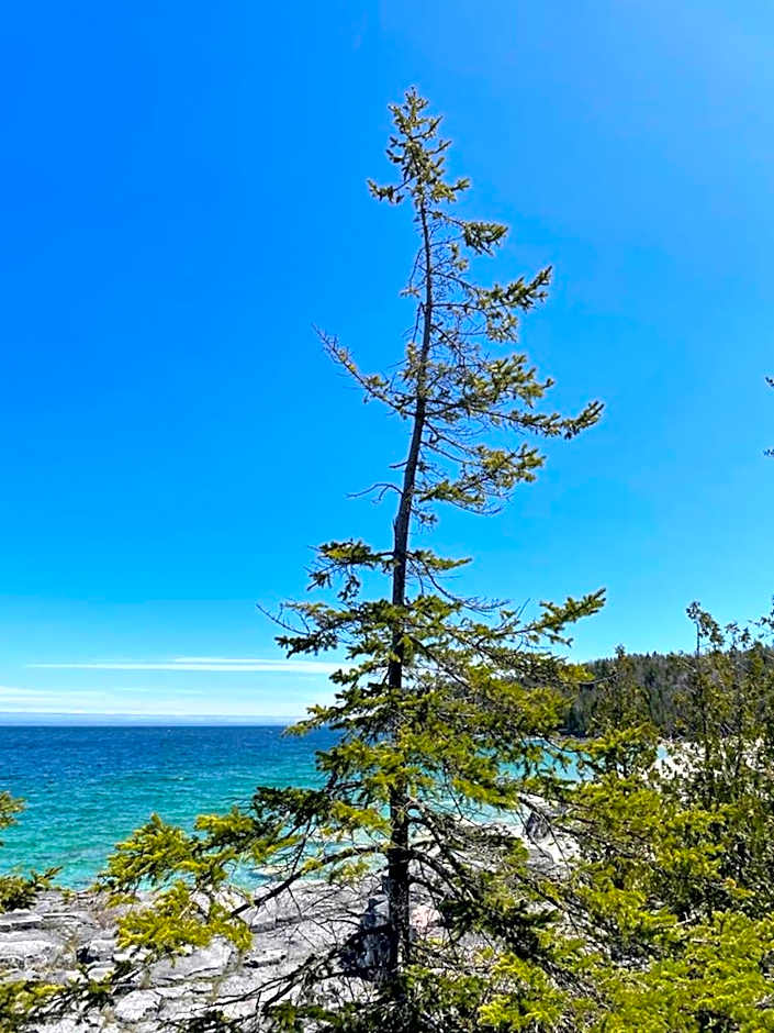 Georgian Legendary Tobermory Retreat With Hot Tub