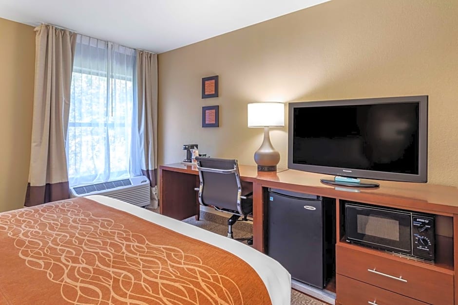Comfort Inn Biltmore West