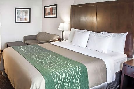 1 King Bed, Non Smoking