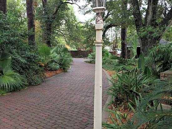 Far View - A Bed & Breakfast Estate