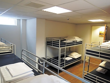 Bed in 8-Bed Dormitory Room