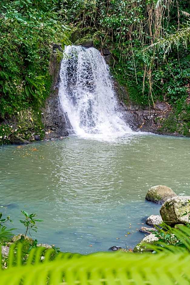 Galalima Glamping by AGATA