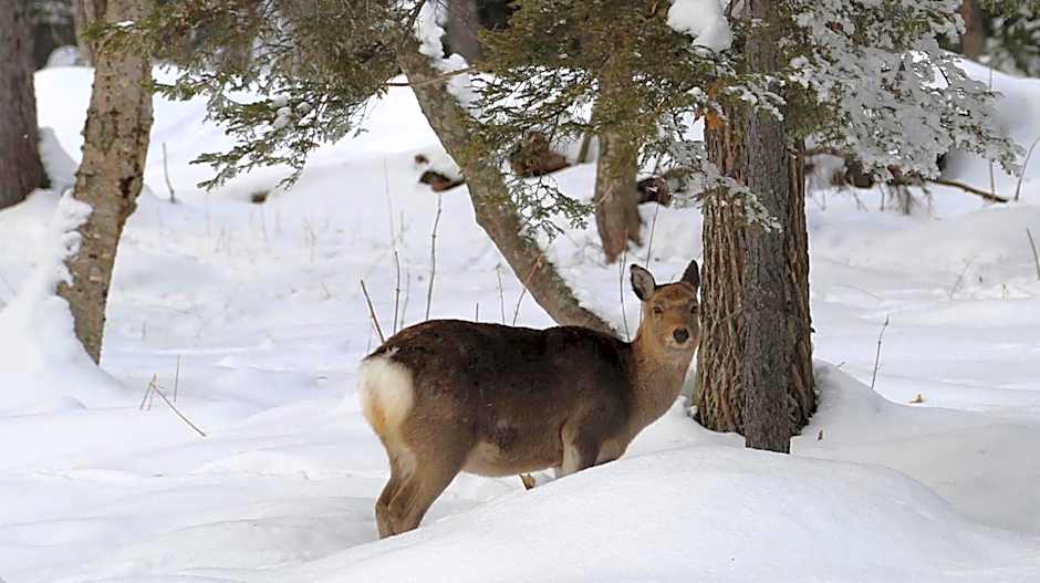 ARtINn 極寒藝術伝染装置