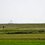 De Stormvogel
