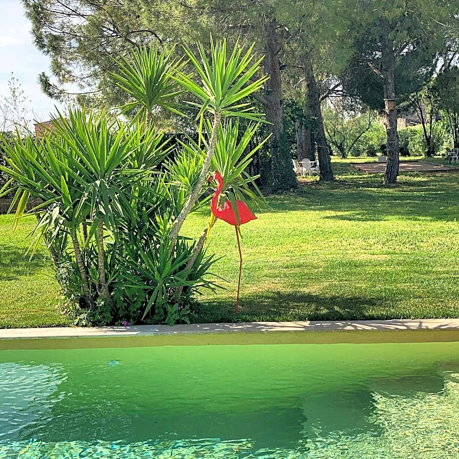Le Patio, chambres d hôtes pour adultes en Camargue, possibilité de naturisme à la piscine,