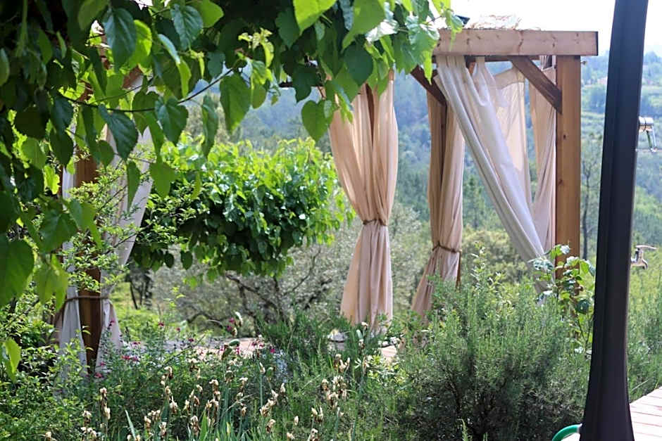 Idyllic French farmhouse