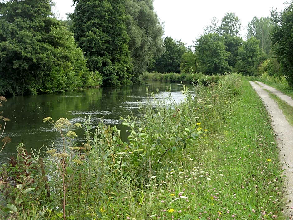 Les Aires en Scènes au bord de l'eau