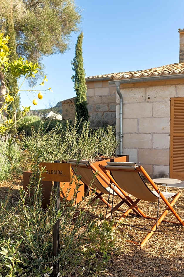 Fincahotel Treurer - Olive Grove & Grand House - Adults Only