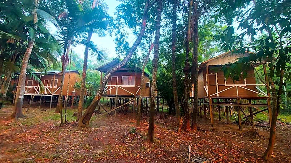 Seringal jungle Lodge