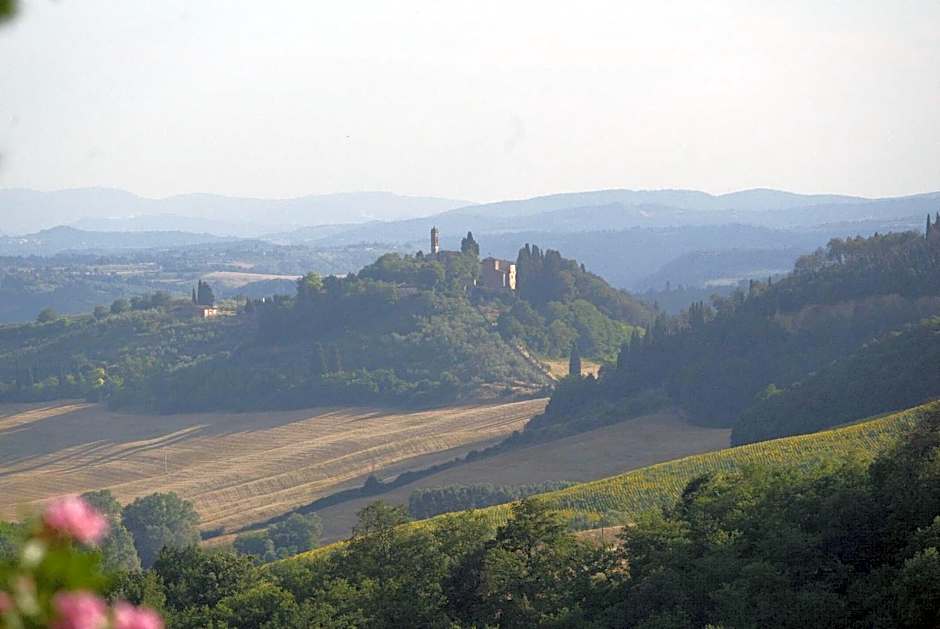Il Paretaio