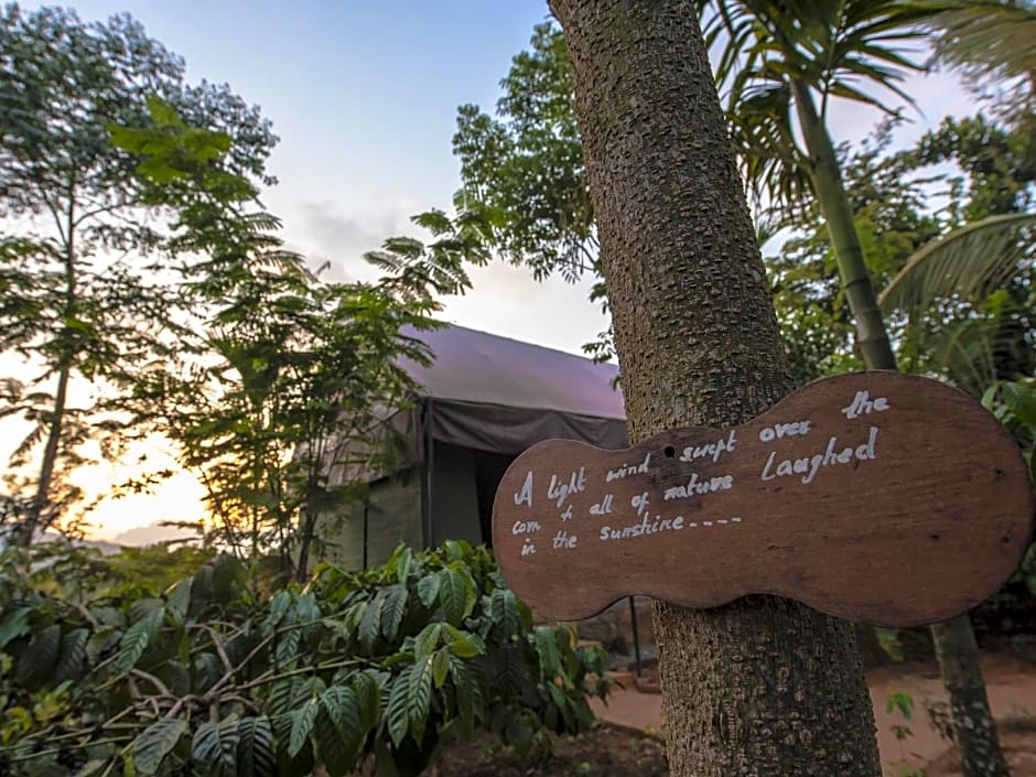 Grassroots Wayanad, Valley-view Tents