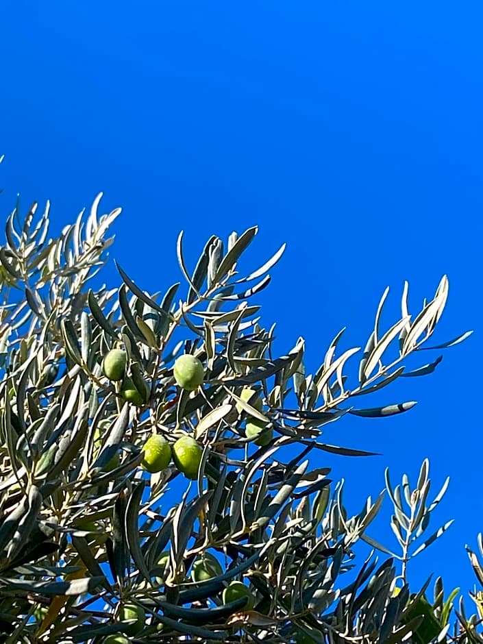 Le Mas de Garrigon - Boutique Hôtel & Spa