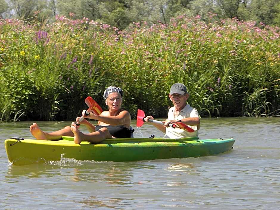 de Brabantse Biesbosch