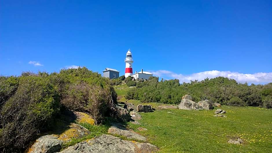 BIG4 Low Head Tourist Park