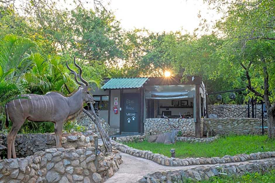 Foxy Crocodile Bush Lodge & Kruger Safaris