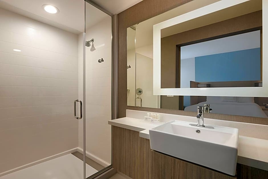 SpringHill Suites by Marriott Dallas DFW Airport South Centreport