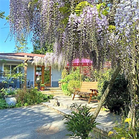 Wisteria Guest House
