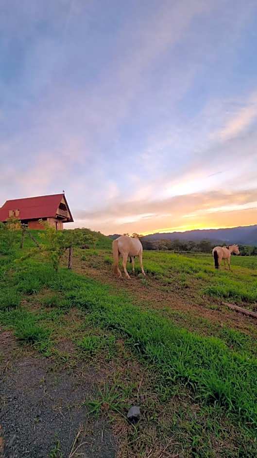 Chalé das Margaridas