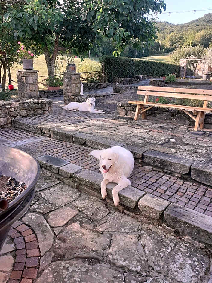 "Borgo Gerbina" Agriturismo & Azienda agricola