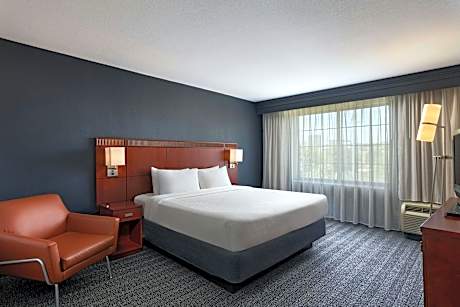 1 Bedroom 2 room Suite, 1 King, Sofa bed