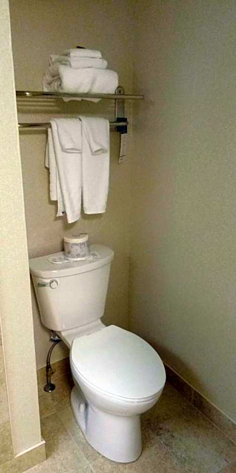 Best Western Plus Otonabee Inn