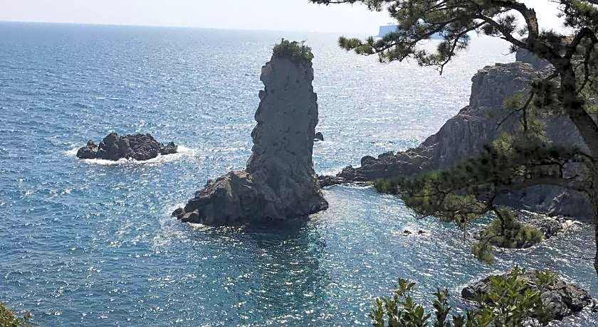 Dreaming Forest Pension