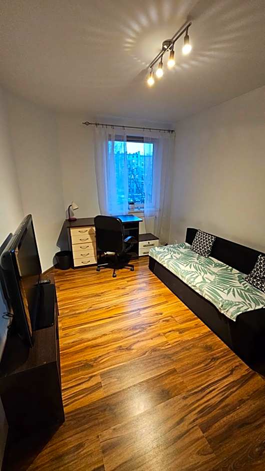 Sweet Home & Sweet Cats & Fast internet