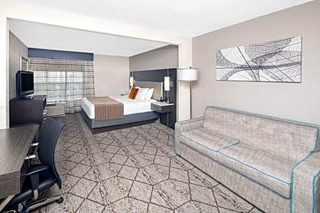 1 King Bed, Deluxe Room, Non-Smoking