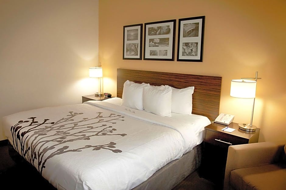 Sleep Inn And Suites Moundsville