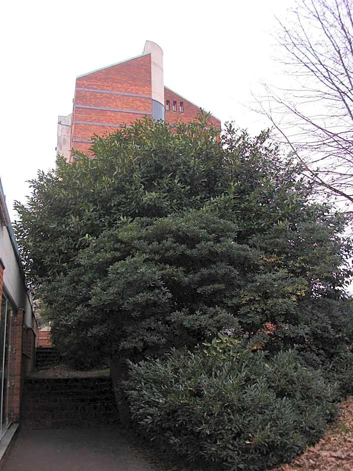 Residence Hotel Siloe